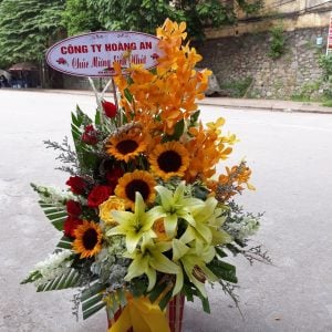 Hoa chúc mừng CM43