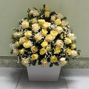 Hoa chúc mừng CM29