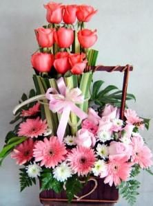 Hoa chúc mừng CM11