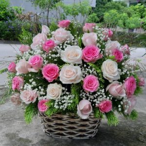 Hoa chúc mừng CM38