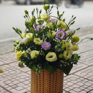 Hoa chúc mừng CM48