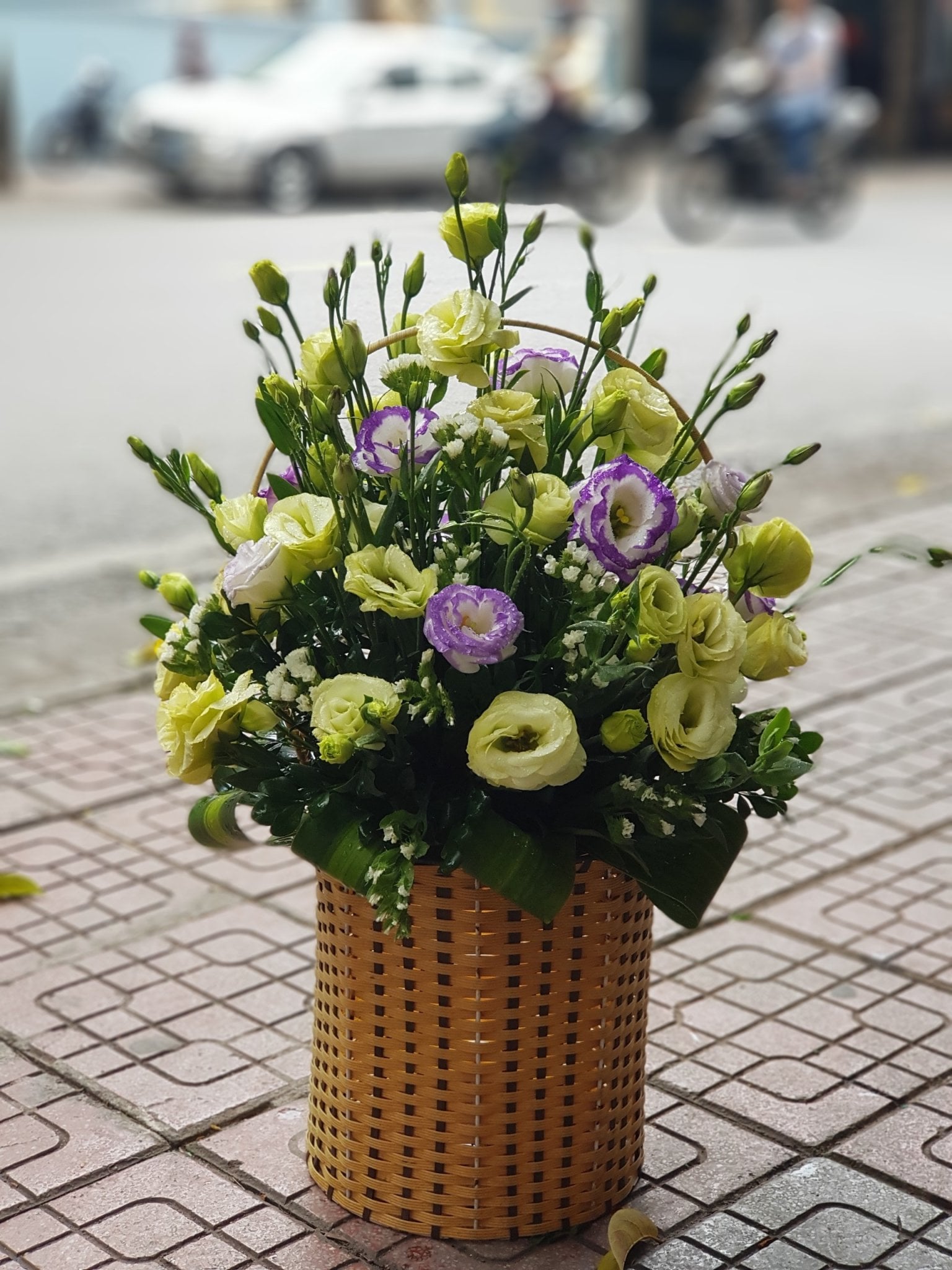 Hoa chúc mừng CM48