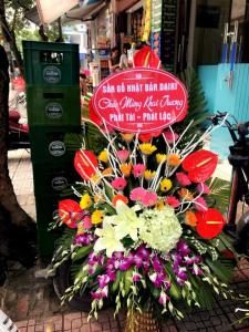 Hoa Khai Trương KT16