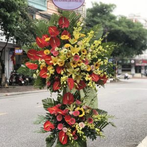 Hoa Khai Trương KT14