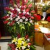 Hoa Khai Trương KT26