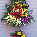 Hoa Khai Trương KT24