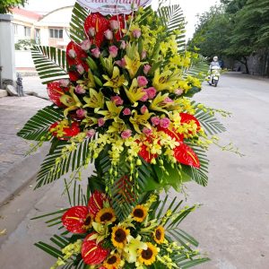 Hoa Khai Trương KT17