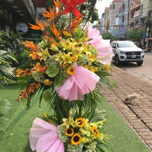 Hoa Khai Trương KT20
