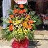 Hoa khai trương KT29